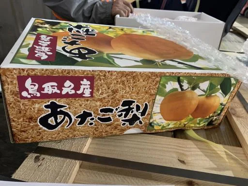 鮮梨 外包裝