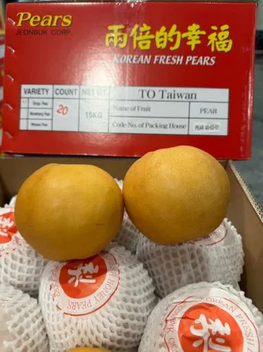 鮮梨 外包裝