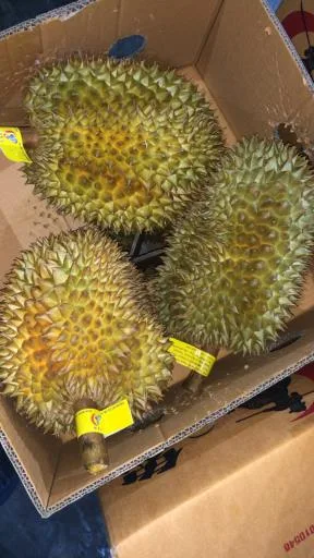 鮮榴槤 外包裝