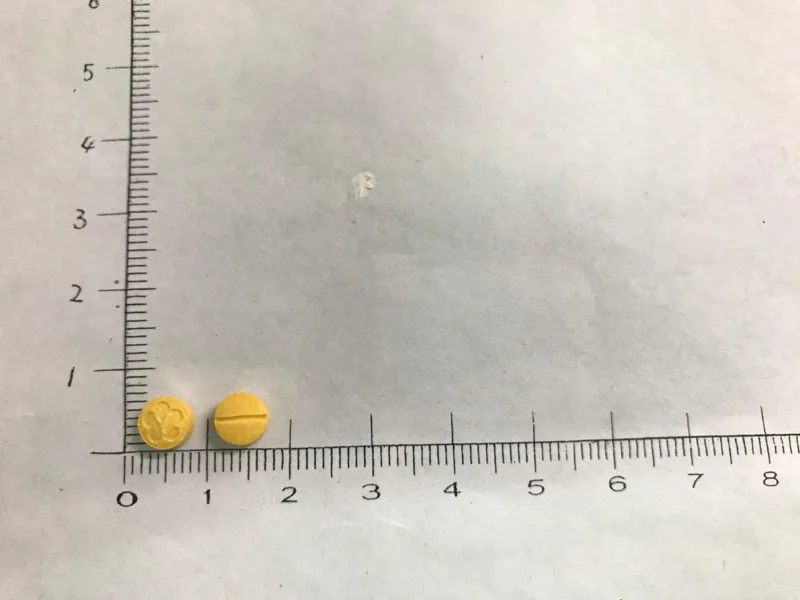 "元宙"葉酸錠10毫克外觀