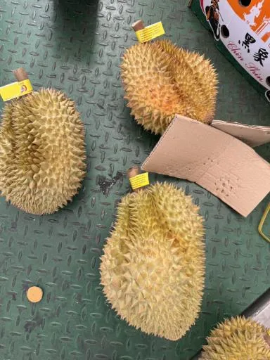 榴槤 外包裝