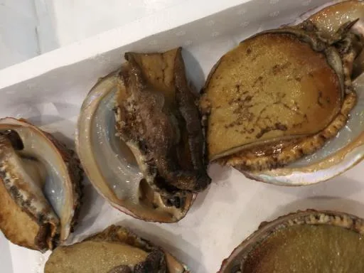 活鮑魚 外包裝