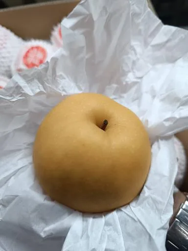 鮮梨 外包裝