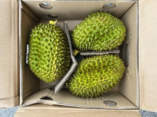 鮮榴槤 外包裝