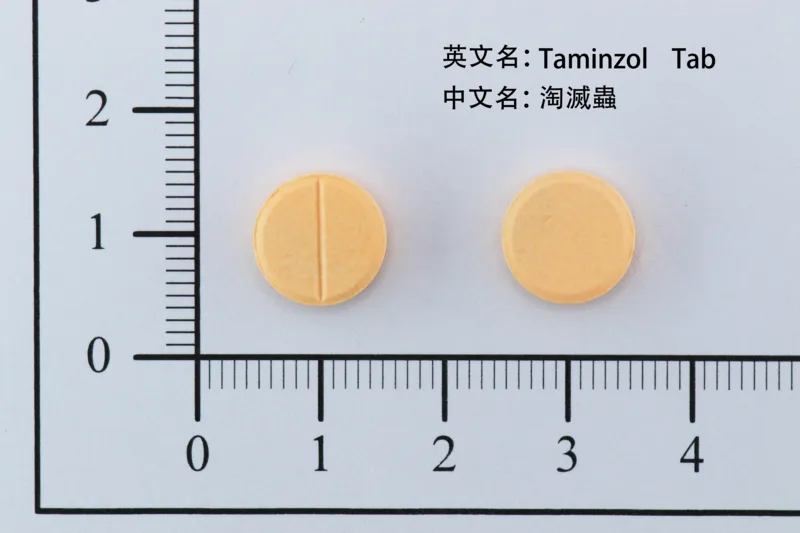 淘滅蟲錠（每鞭達挫）外觀