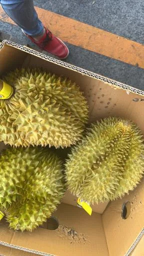 鮮榴槤 外包裝