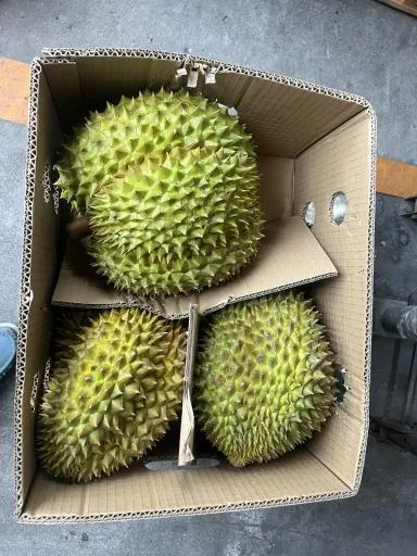 榴槤 外包裝