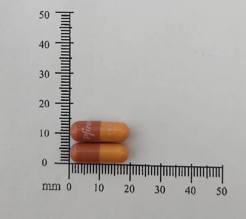 愛乳適 膠囊100毫克外觀
