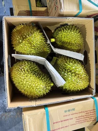 鮮榴槤 外包裝
