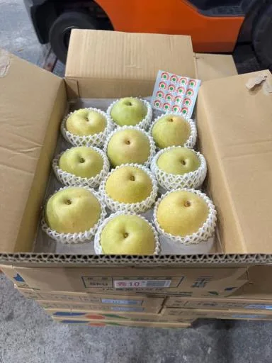 鮮梨 外包裝