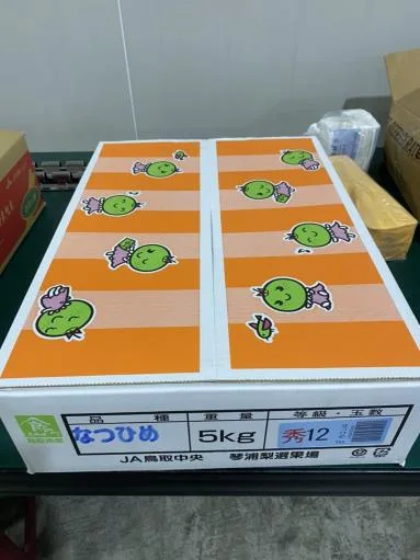 鮮梨 外包裝