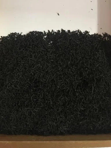 錫蘭紅茶BOP1 外包裝