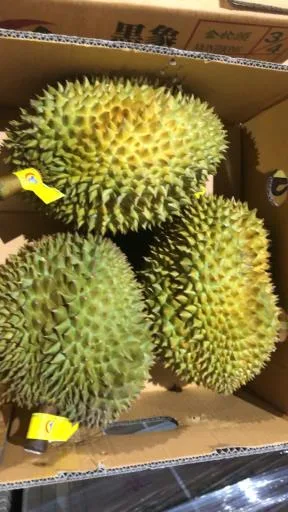 鮮榴槤 外包裝