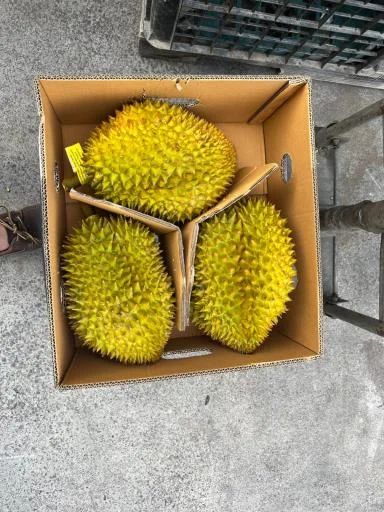 鮮榴槤 外包裝