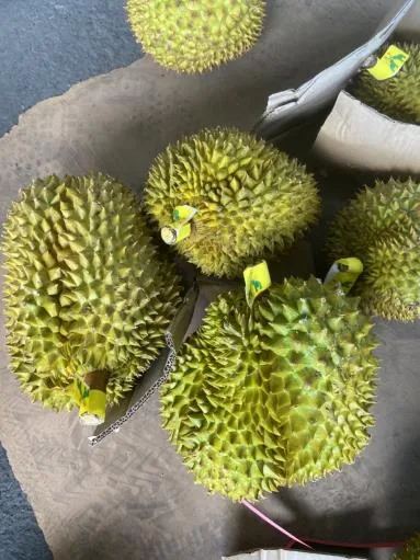 鮮榴槤 外包裝