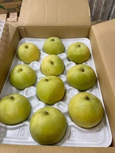 鮮梨 外包裝