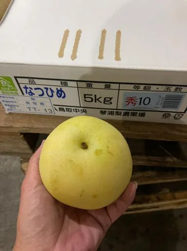 鮮梨 外包裝