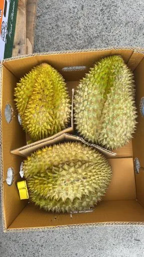 榴槤 外包裝