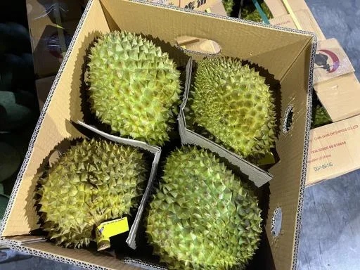 鮮榴槤 外包裝
