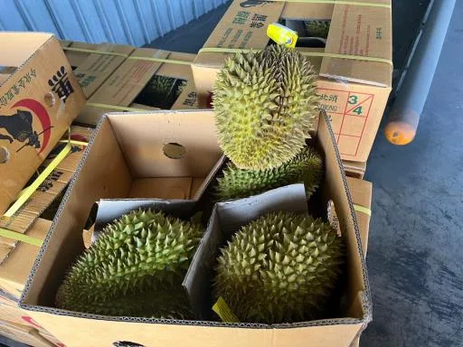 鮮榴槤 外包裝