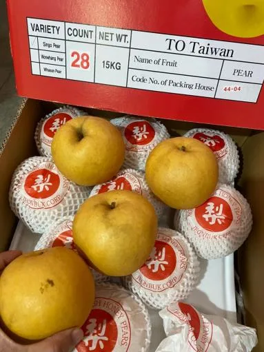 鮮梨 外包裝