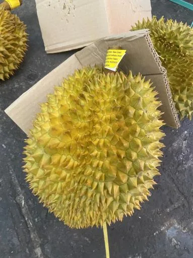 鮮榴槤 外包裝