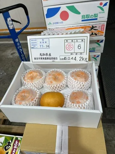 鮮梨 外包裝