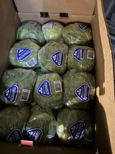 鮮結球萵苣 外包裝