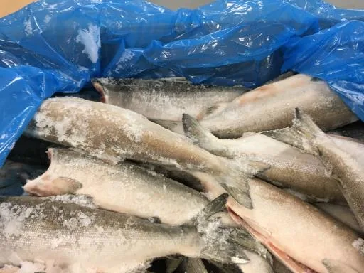 冷凍阿拉斯加鮭魚 外包裝