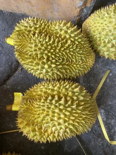 鮮榴槤 外包裝