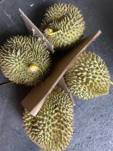 鮮榴槤 外包裝
