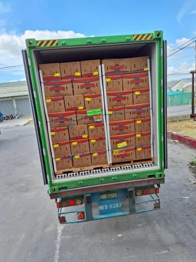 鮮結球萵苣 外包裝