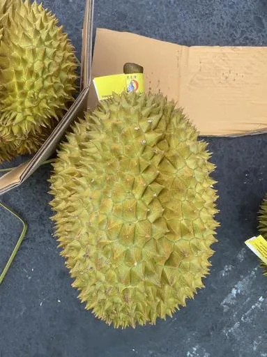 鮮榴槤 外包裝