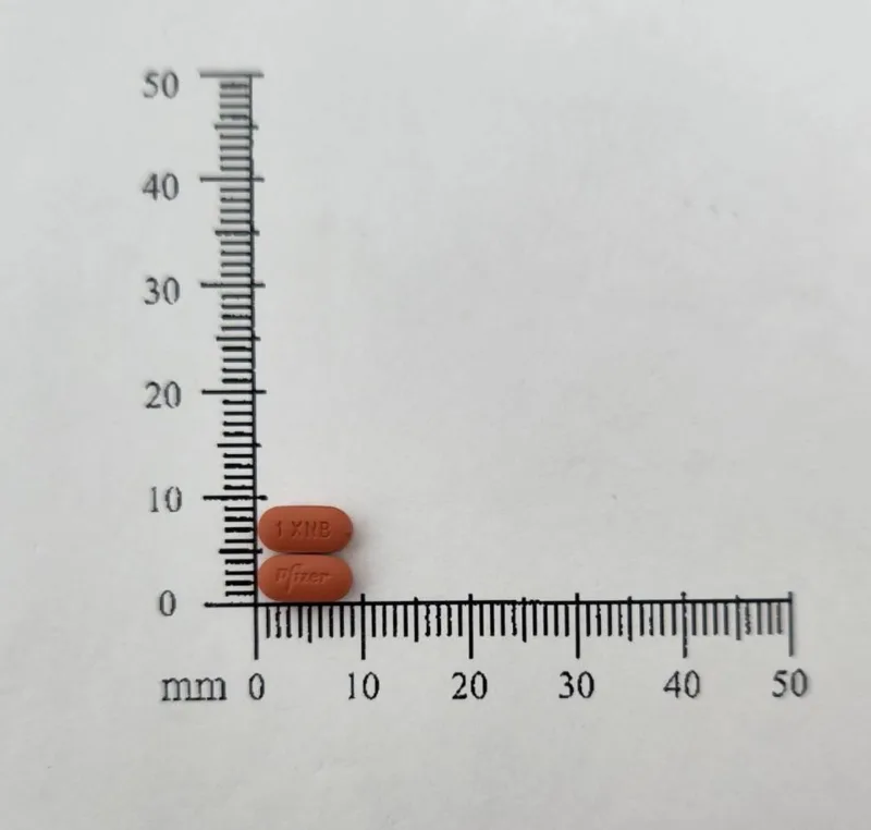 抑癌特膜衣錠 1 毫克外觀