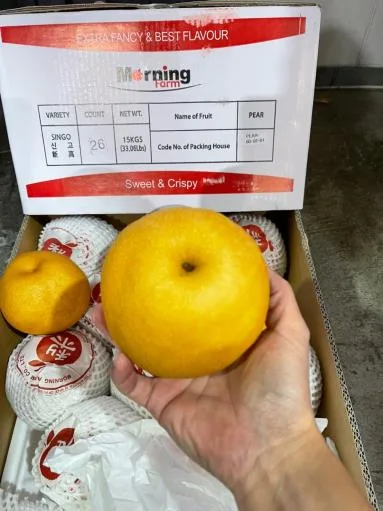鮮梨 外包裝