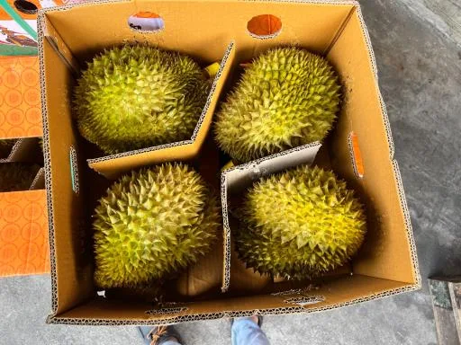 鮮榴槤 外包裝
