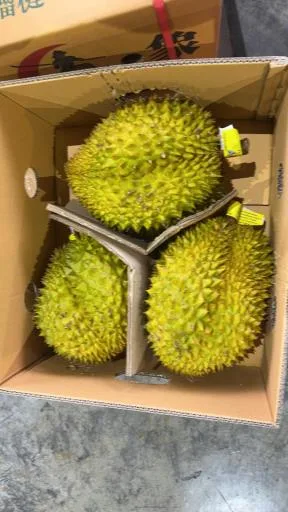 鮮榴槤 外包裝