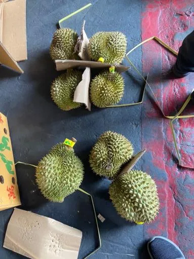 鮮榴槤 外包裝