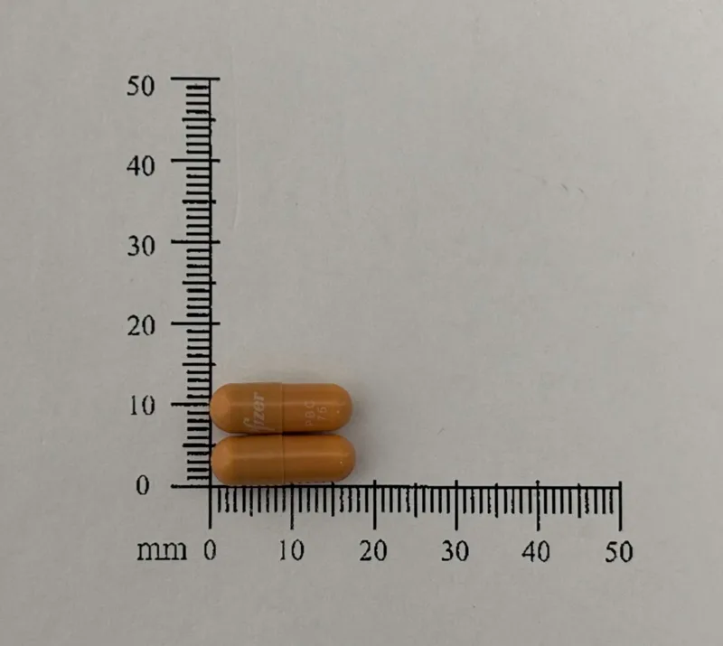愛乳適 膠囊75毫克外觀
