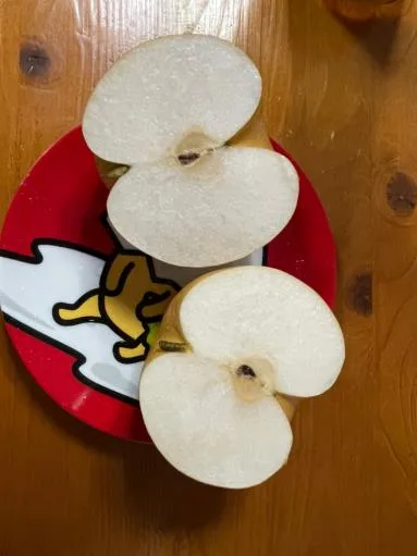 鮮梨 外包裝