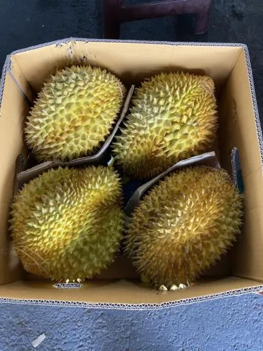 鮮榴槤 外包裝