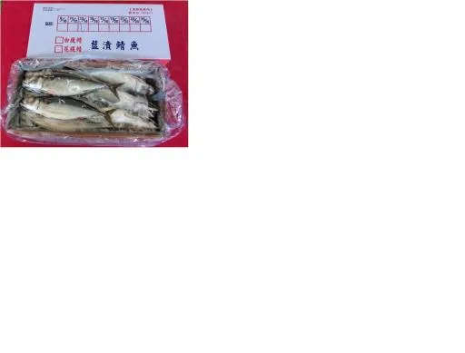 台灣鯖魚6KG 外包裝