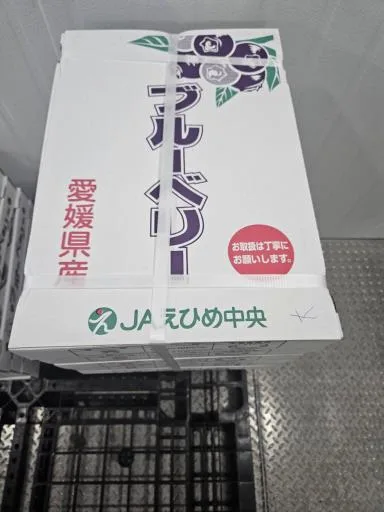 藍莓 外包裝