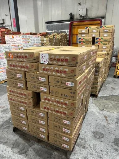 鮮梨 外包裝