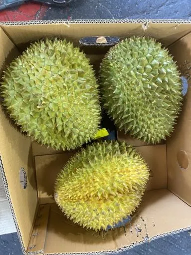 鮮榴槤 外包裝