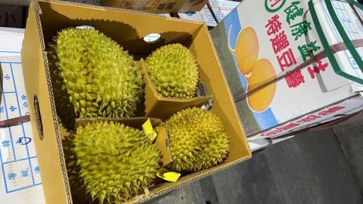 鮮榴槤 外包裝