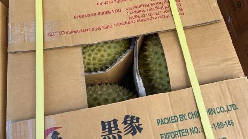 鮮榴槤 外包裝