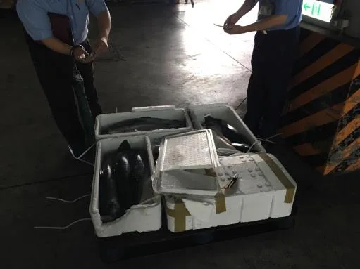 生鮮鮭魚 外包裝