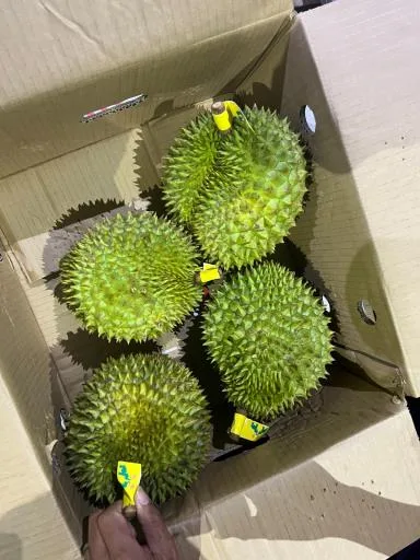 鮮榴槤 外包裝