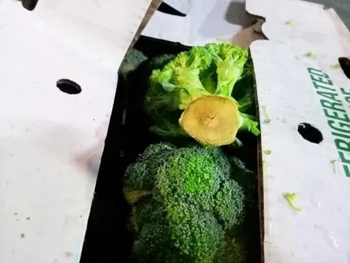 鮮青花菜 外包裝